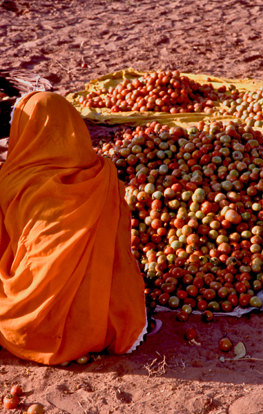 India-the-tomato-seller